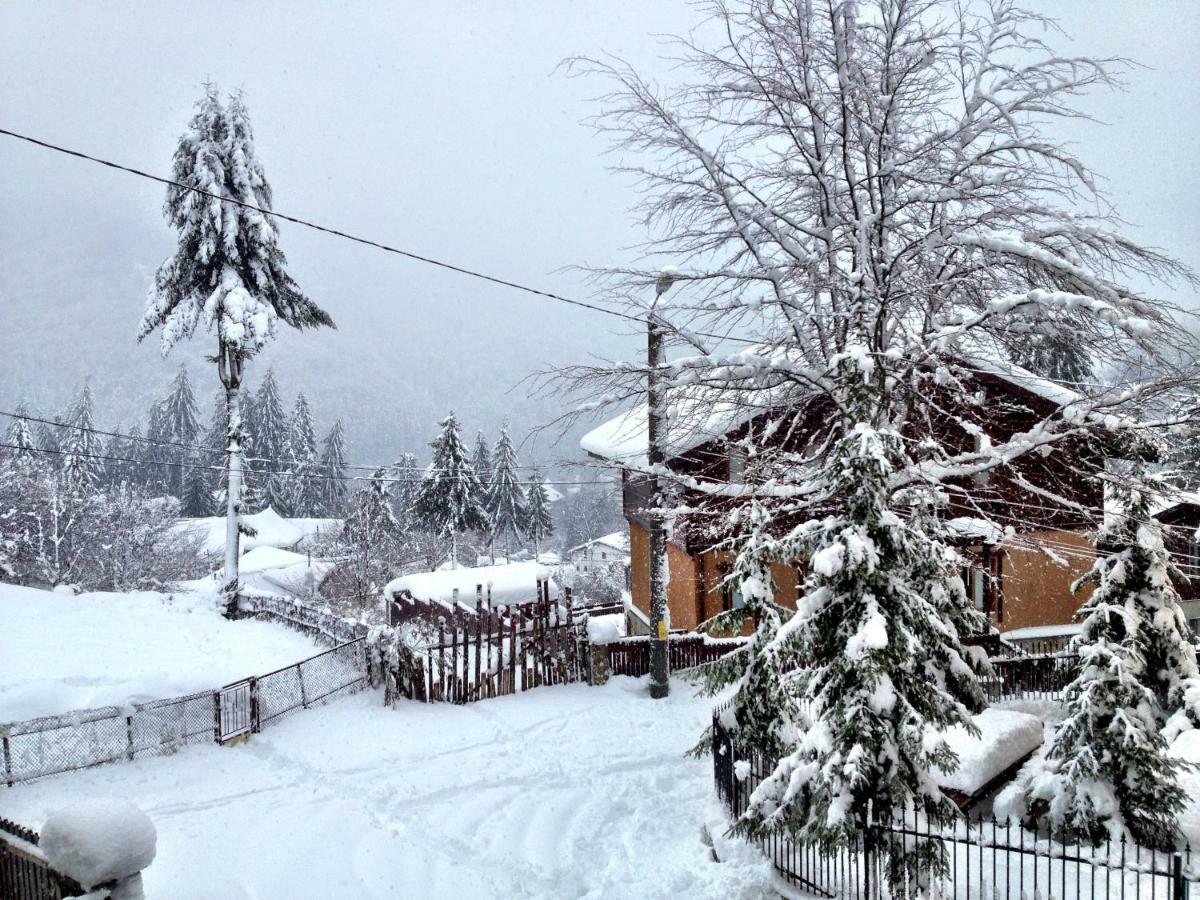 Casa Miu Villa Sinaia Esterno foto