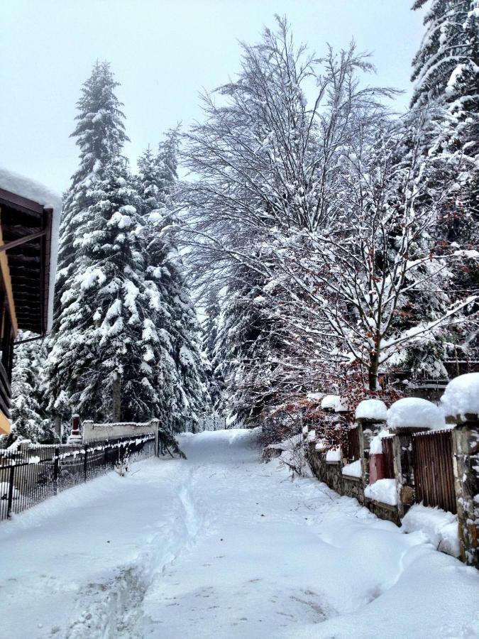 Casa Miu Villa Sinaia Esterno foto